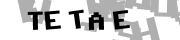 CAPTCHA